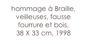 hommage à Braille,
veilleuses, fausse fourrure et bois, 
38 X 33 cm, 1998 