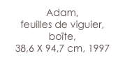 Adam,
feuilles de viguier, boîte,
38,6 X 94,7 cm, 1997
