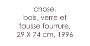 chose,
bois, verre et
fausse fourrure,
29 X 74 cm, 1996