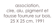 association,
cire, alu, pigment et fausse fourrure sur bois,
25 X 25 cm, 1991 