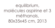 equilibrium,
molécules aspirine et 3 méthanols,
80x35x45 cm, 2013