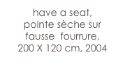 have a seat,
pointe sèche sur 
fausse  fourrure, 
200 X 120 cm, 2004