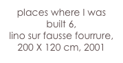places where I was built 6,
lino sur fausse fourrure,
200 X 120 cm, 2001