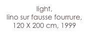 light,
lino sur fausse fourrure,
120 X 200 cm, 1999