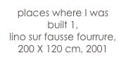 places where I was built 1,
lino sur fausse fourrure,
200 X 120 cm, 2001