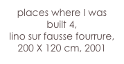 places where I was built 4,
lino sur fausse fourrure,
200 X 120 cm, 2001