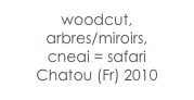woodcut,
arbres/miroirs,
cneai = safari
Chatou (Fr) 2010