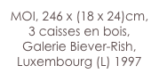 MOI, 246 x (18 x 24)cm,
3 caisses en bois, Galerie Biever-Rish, Luxembourg (L) 1997