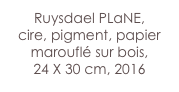 Ruysdael PLaNE,
cire, pigment, papier marouflé sur bois,
24 X 30 cm, 2016