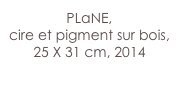 PLaNE,
cire et pigment sur bois,
25 X 31 cm, 2014