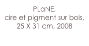 PLaNE,
cire et pigment sur bois,
25 X 31 cm, 2008