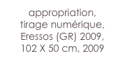 appropriation,
tirage numérique,
Eressos (GR) 2009,
102 X 50 cm, 2009

