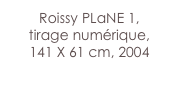 Roissy PLaNE 1,
tirage numérique,
141 X 61 cm, 2004