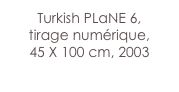 Turkish PLaNE 6,
tirage numérique,
45 X 100 cm, 2003