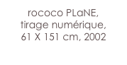 rococo PLaNE,
tirage numérique,
61 X 151 cm, 2002