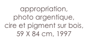 appropriation,
photo argentique,
cire et pigment sur bois,
59 X 84 cm, 1997
