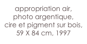 appropriation air,
photo argentique,
cire et pigment sur bois,
59 X 84 cm, 1997