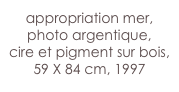 appropriation mer, photo argentique,
cire et pigment sur bois,
59 X 84 cm, 1997