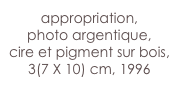 appropriation,
photo argentique,
cire et pigment sur bois,
3(7 X 10) cm, 1996