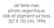 air terre mer,
photo argentique,
cire et pigment sur bois,
3(7 X 10) cm, 1996