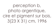 perception b,
photo argentique,
cire et pigment sur bois,
3(23 X 31) cm, 1996