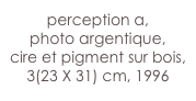 perception a,
photo argentique,
cire et pigment sur bois,
3(23 X 31) cm, 1996