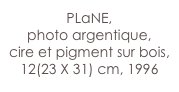 PLaNE,
photo argentique, 
cire et pigment sur bois,
12(23 X 31) cm, 1996